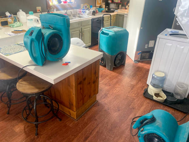 Best Sewage cleanup and water damage restoration  in Anchorage, AK