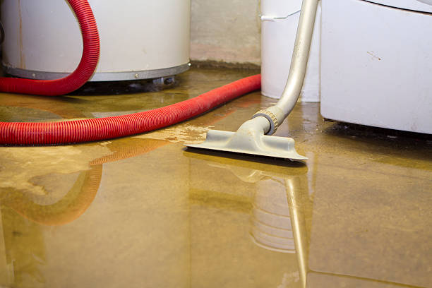 Trusted Anchorage, AK Water damage restoration Experts