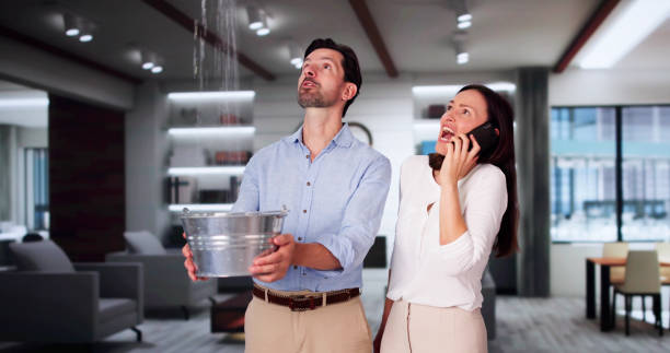 Best Water damage contractors near me  in Anchorage, AK