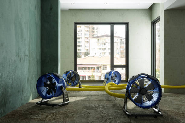 Fire Damage Restoration in Anchorage, AK